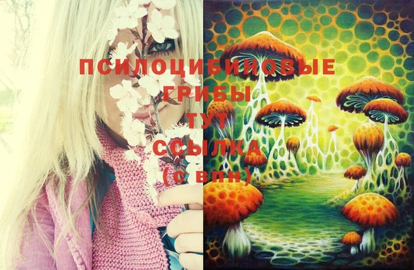 наркотики Бронницы