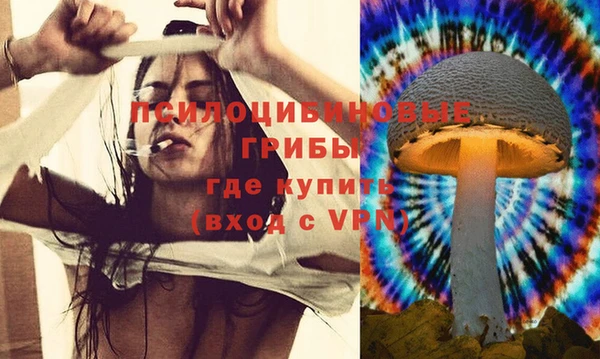альфа пвп Бородино